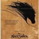 Le Avventure Di Black Stallion
