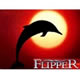 Le Nuove Avventure Di Flipper