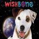 Wishbone, Il Cane Dei Sogni