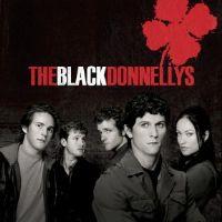 Black Donnellys