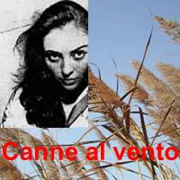 Canne al vento