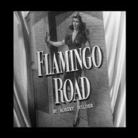 Flamingo Road