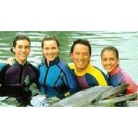 Le Nuove Avventure Di Flipper