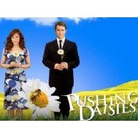 Pushing Daisies
