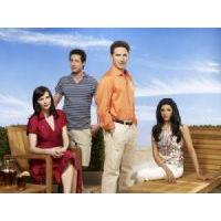 Royal Pains