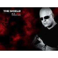 The Shield